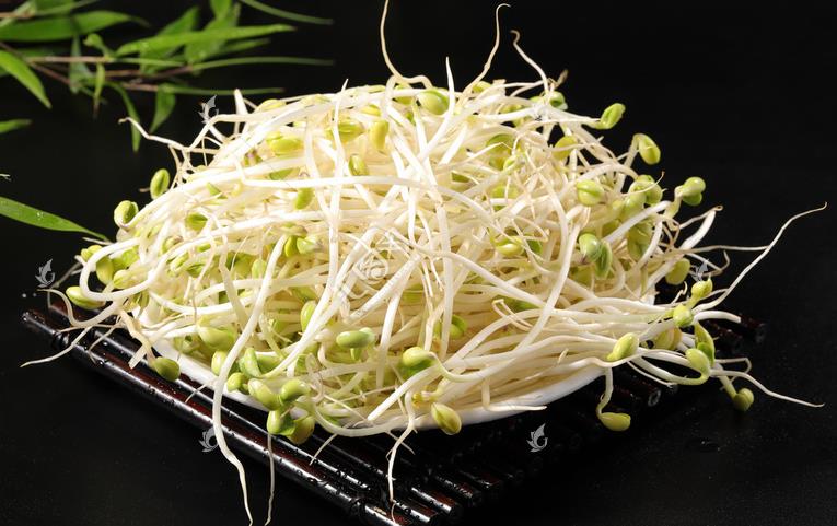 無公害綠色豆芽，怎么生產(chǎn)出來的？全套生產(chǎn)過程如此方便智能